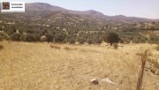 Sivas Kreta, Sivas: Grundstück 17.000 m² in guter Lage Grundstück kaufen